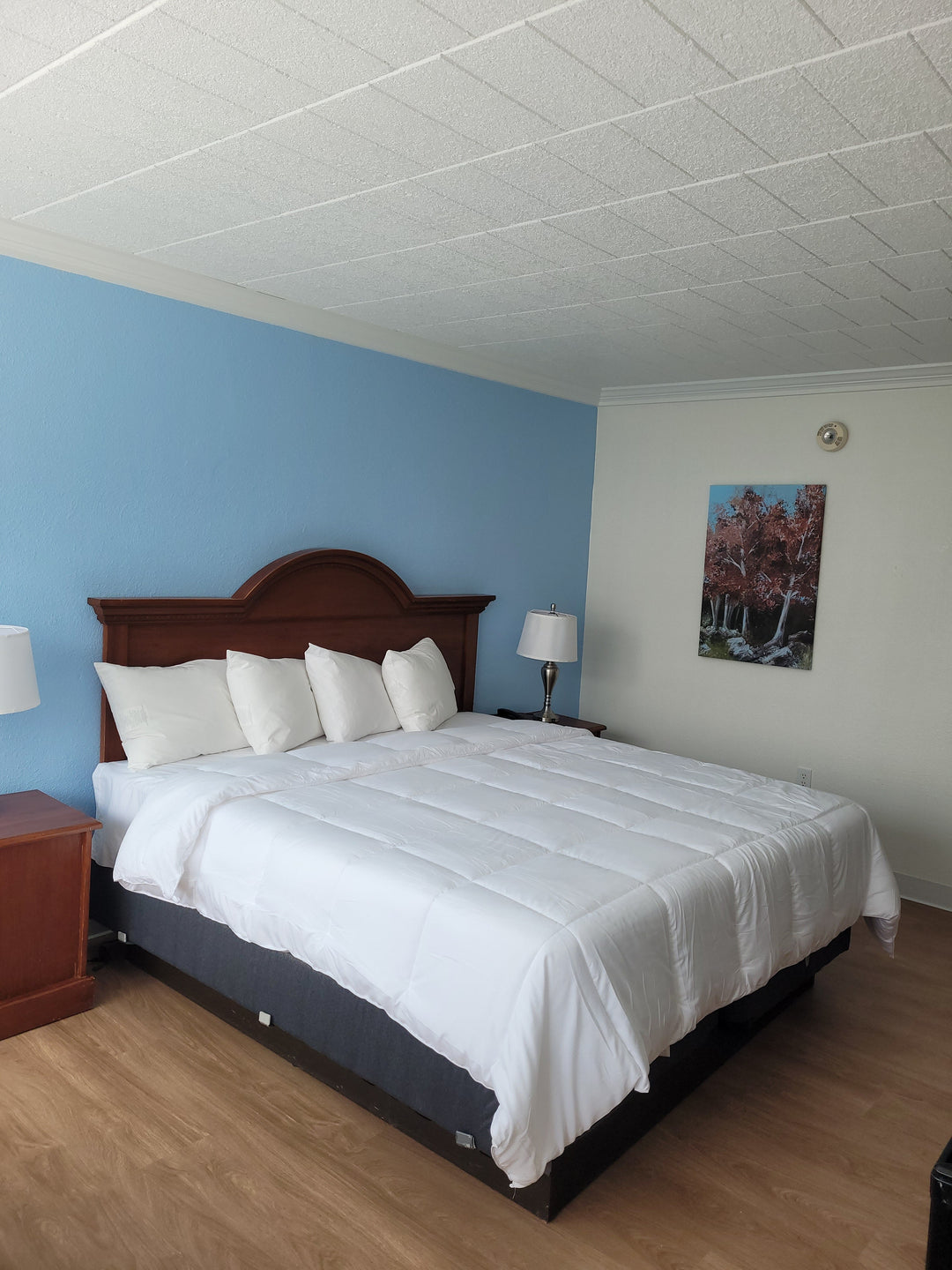 4hr Cellular Recharge Session w/10 Min Consultation & Before/After Stress Scan | Butler, PA