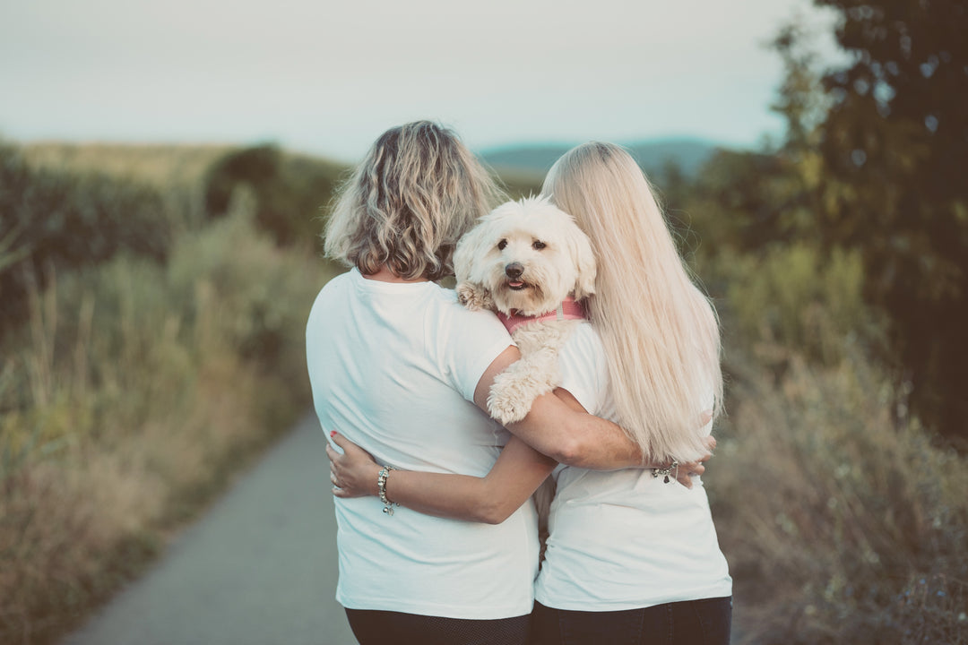 Overnight Cellular Recharge Session ~ Additional Pet Guest | East Dubuque, IL