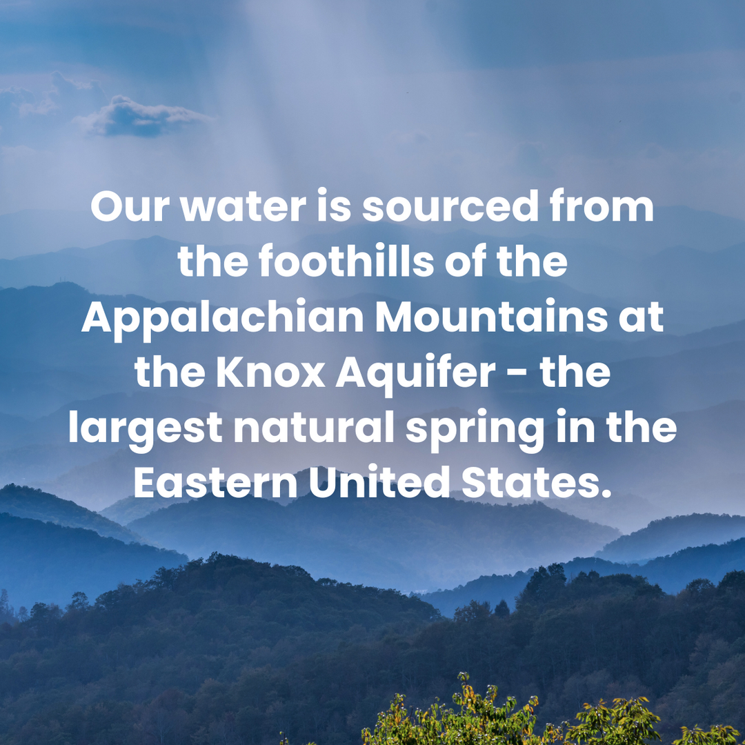 Tesla BioHealing Energized Spring Water: 24 Bottle Pack (16.9 oz.)