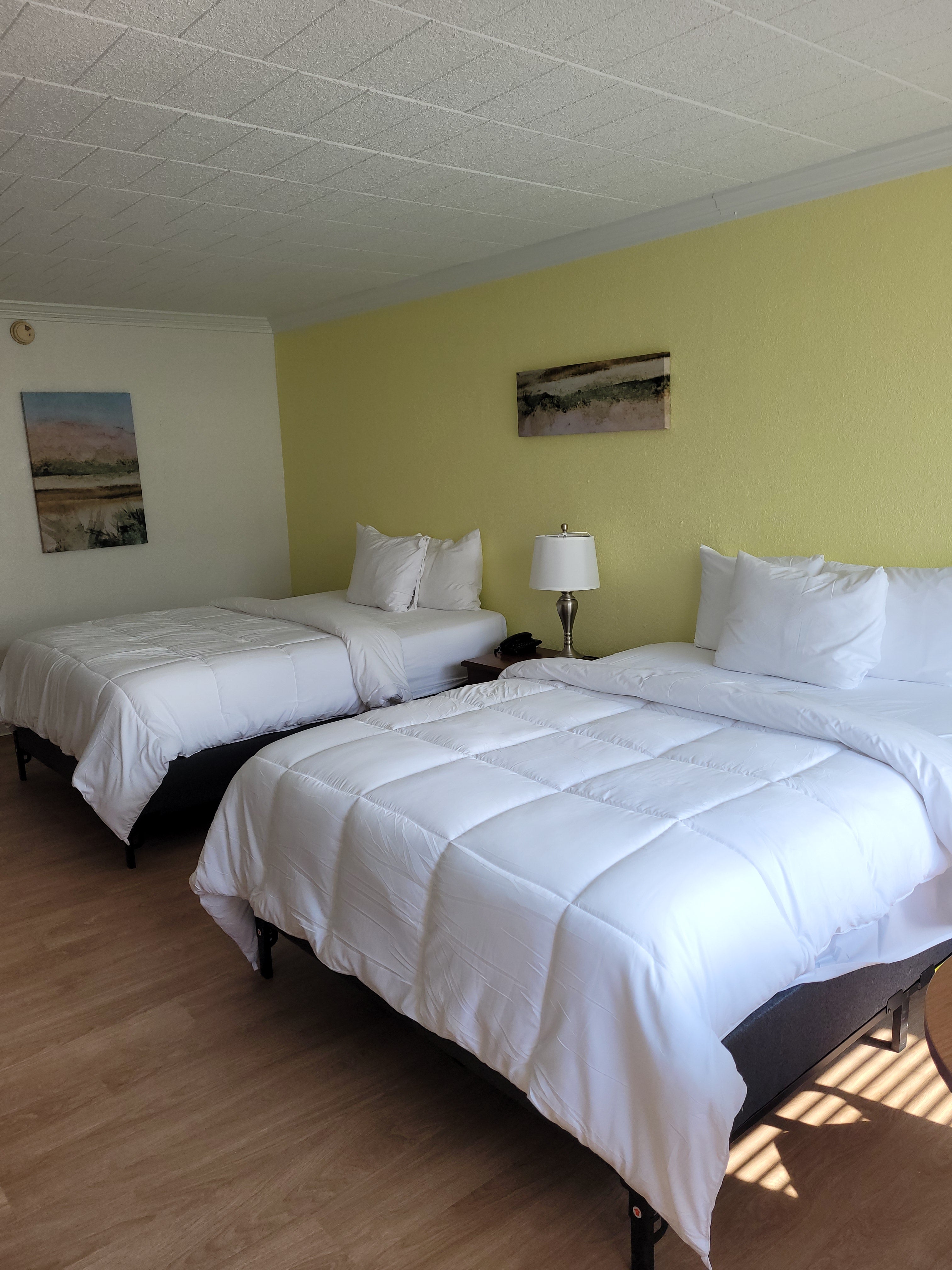 コレクション – Tesla BioHealing